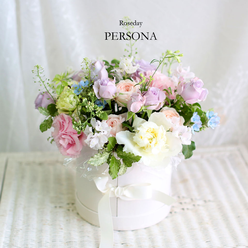 [,] Roseday - PERSONA  ɹ