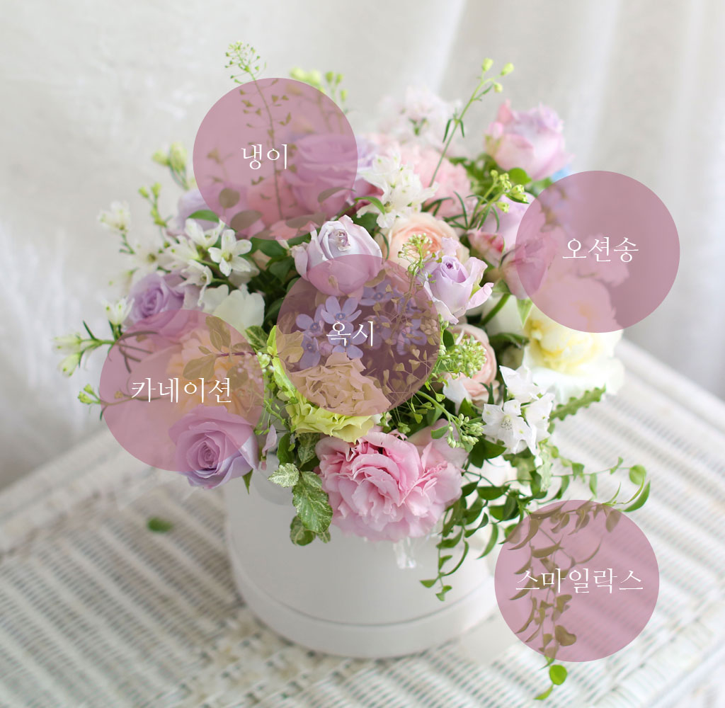 [,] Roseday - PERSONA  ɹ