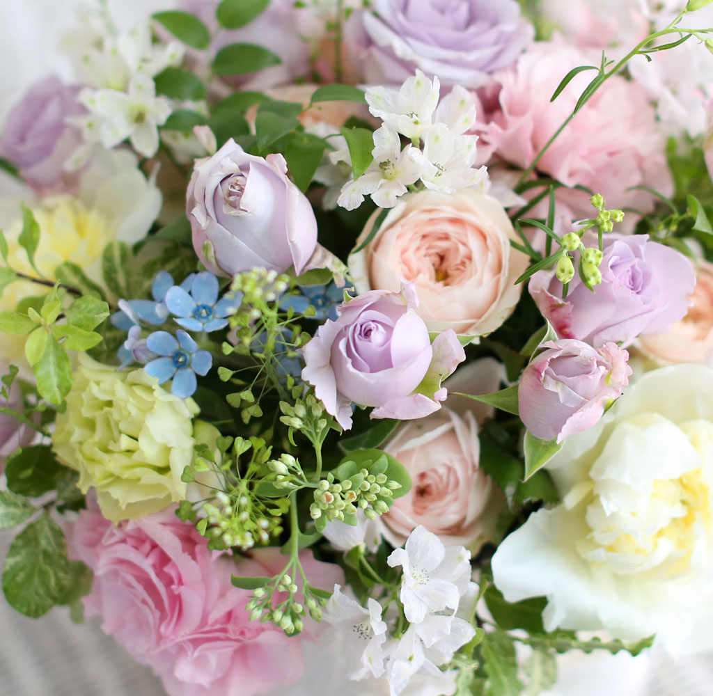 [,] Roseday - PERSONA  ɹ