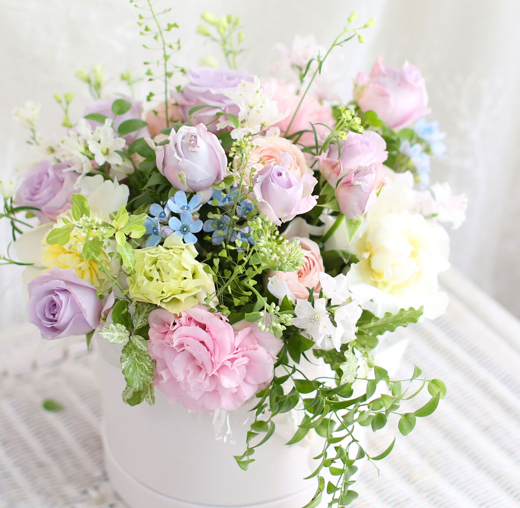 [,] Roseday - PERSONA  ɹ