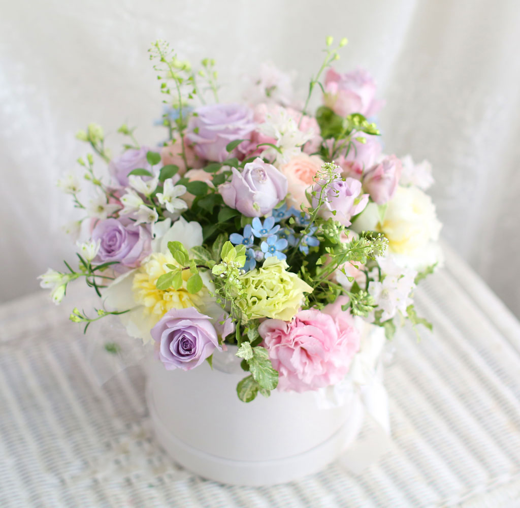 [,] Roseday - PERSONA  ɹ