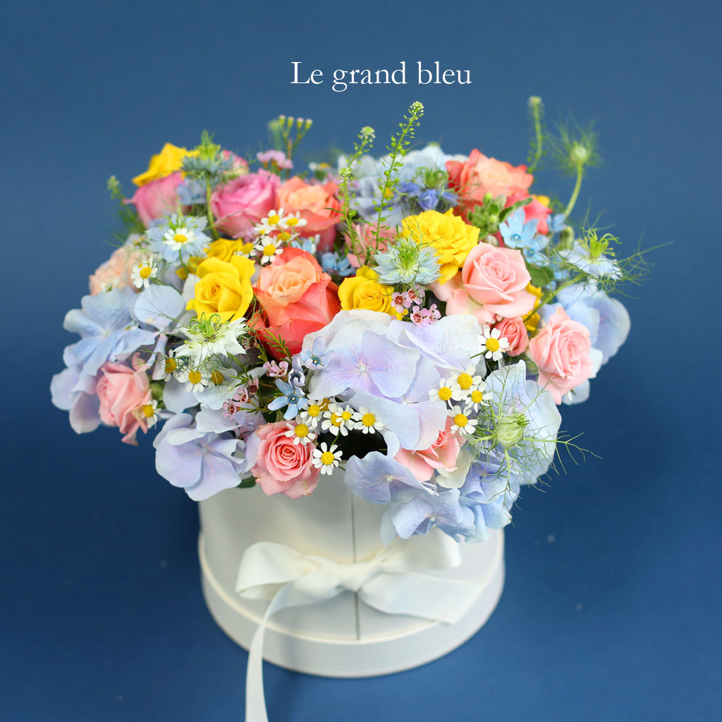 [,]  Le grand bleu(׶)  ɹ