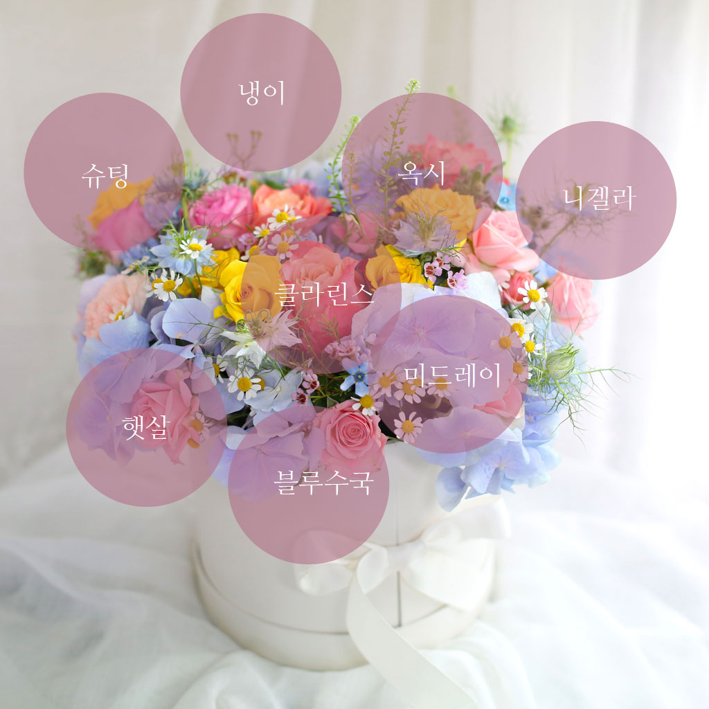 [,]  Le grand bleu(׶)  ɹ