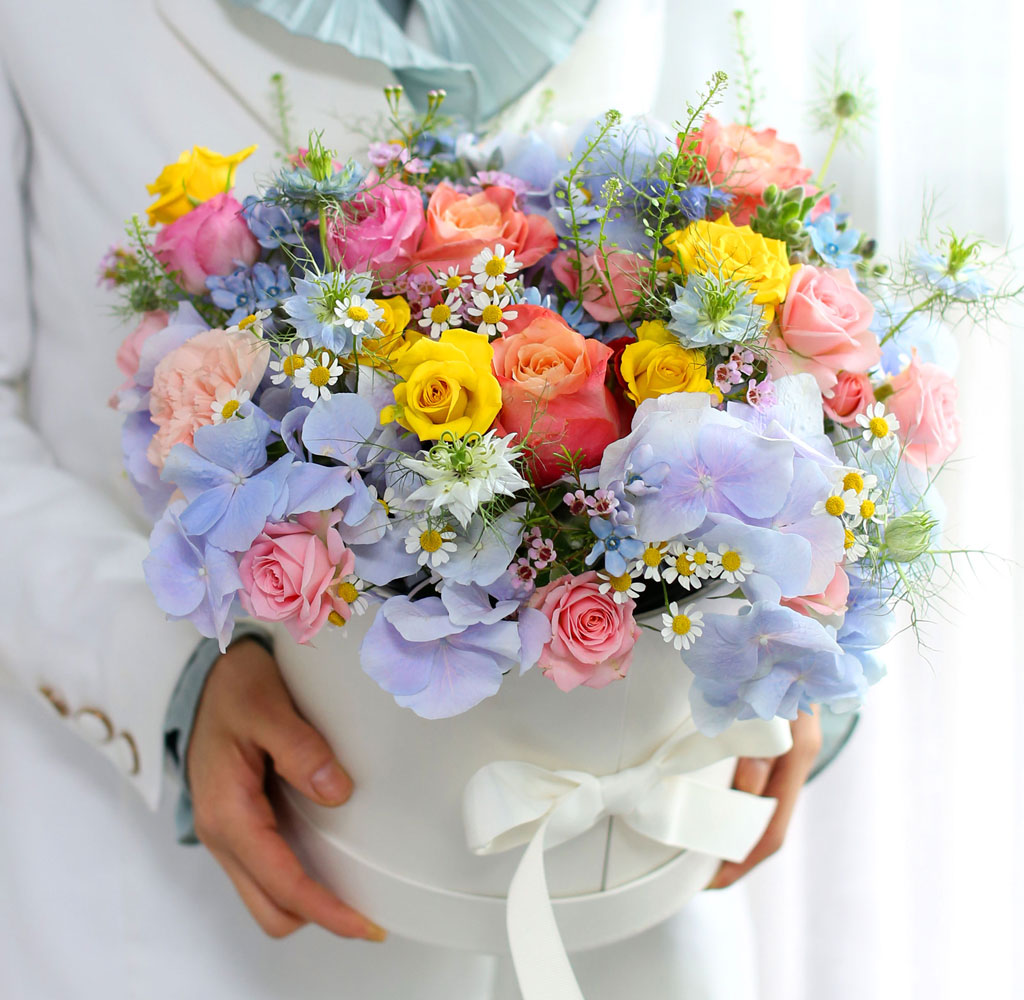 [,]  Le grand bleu(׶)  ɹ