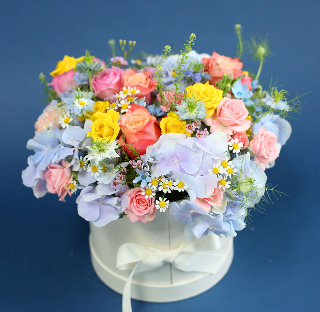 [,]  Le grand bleu(׶)  ɹ