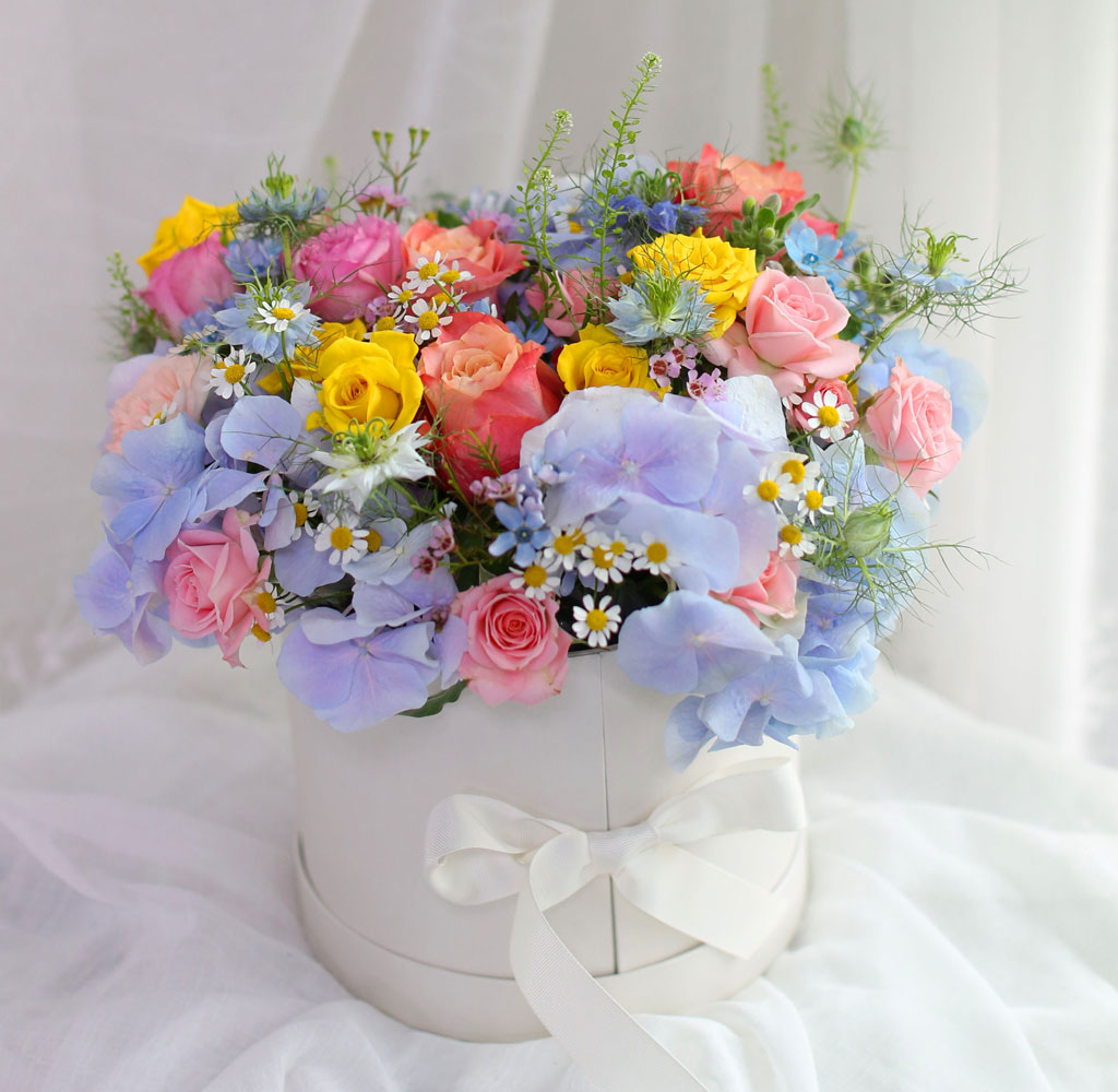 [,]  Le grand bleu(׶)  ɹ