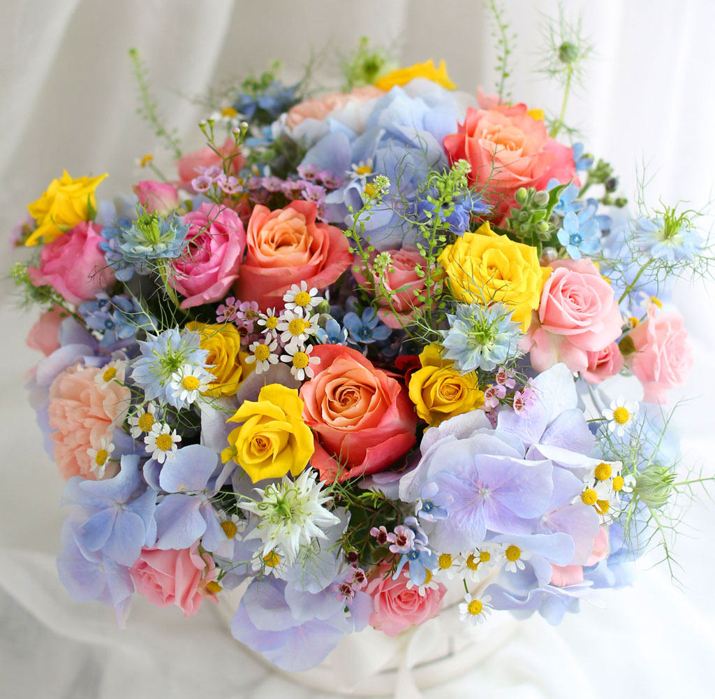 [,]  Le grand bleu(׶)  ɹ