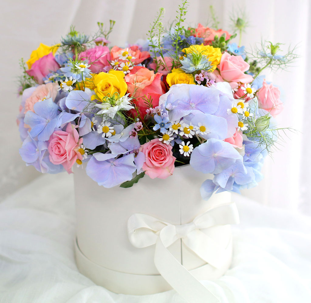 [,]  Le grand bleu(׶)  ɹ