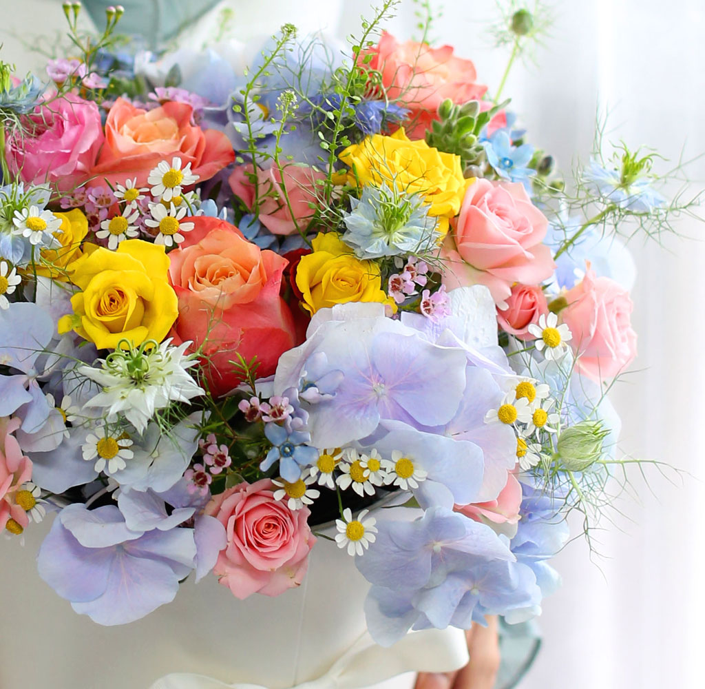 [,]  Le grand bleu(׶)  ɹ