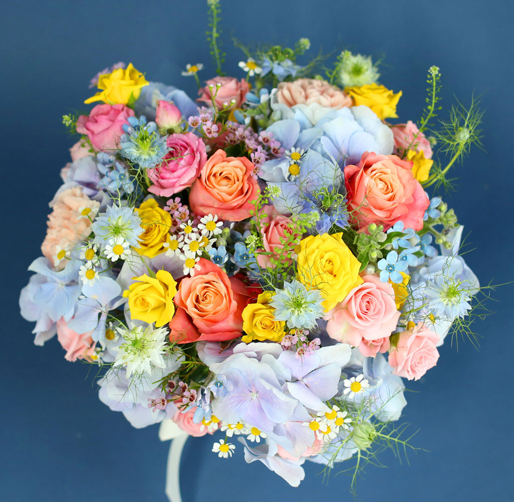 [,]  Le grand bleu(׶)  ɹ