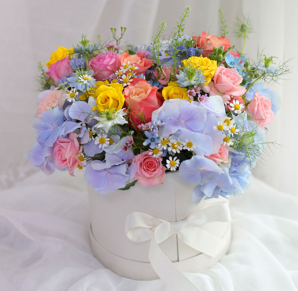 [,]  Le grand bleu(׶)  ɹ