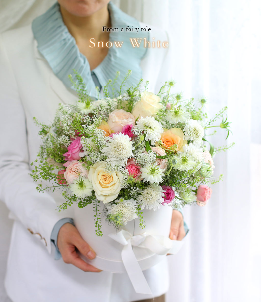 [,]  From a fairy tale snow white  ɹ