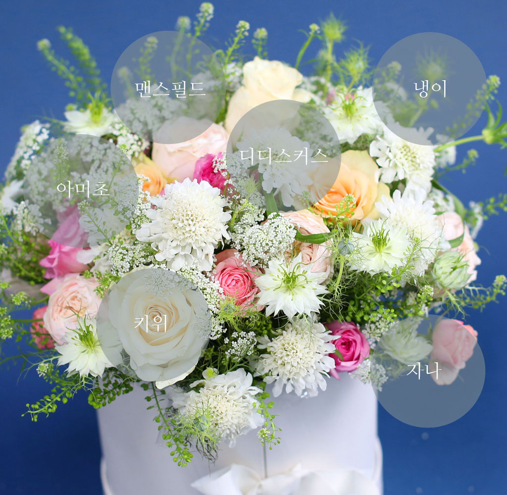 [,]  From a fairy tale snow white  ɹ