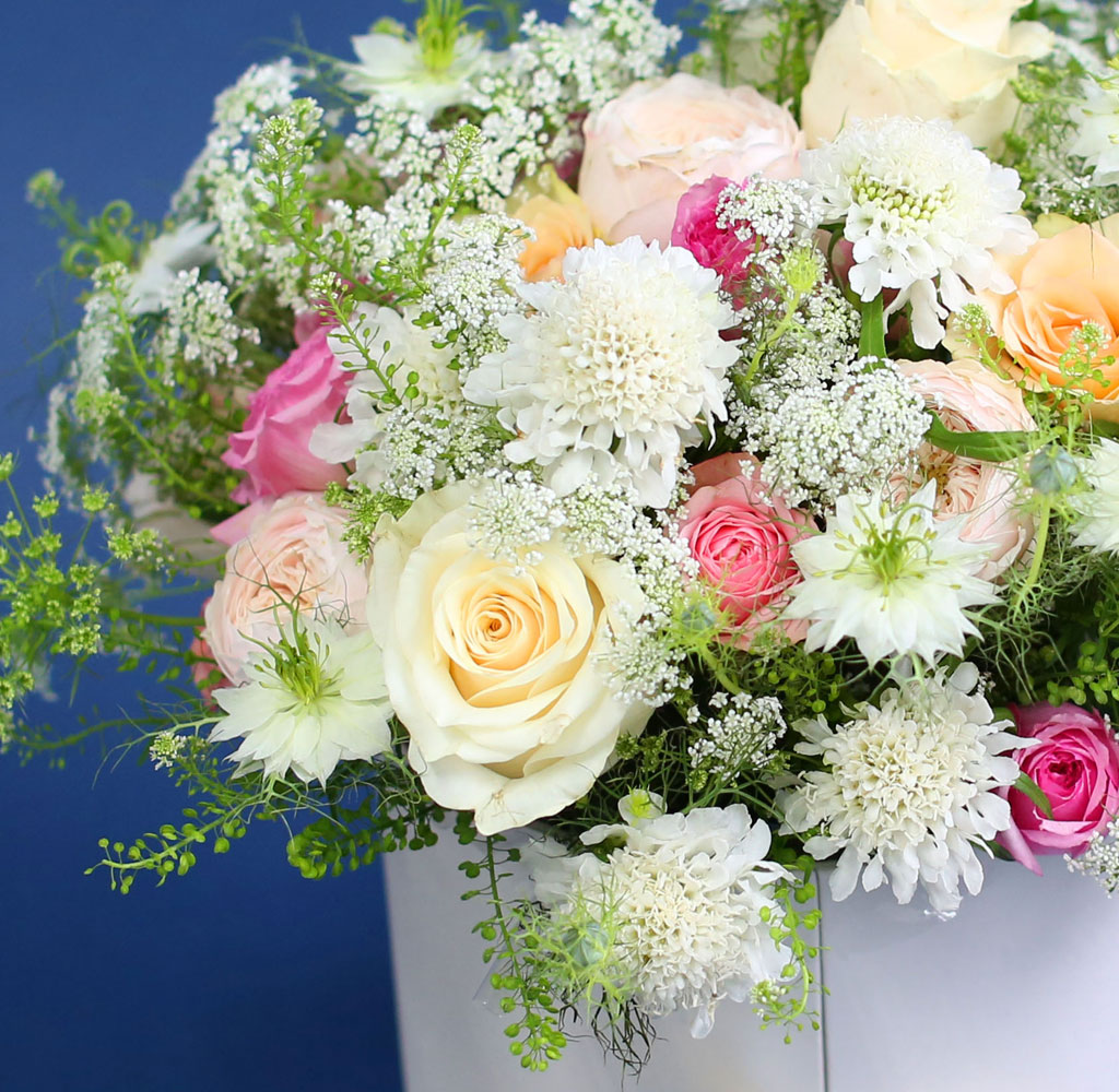 [,]  From a fairy tale snow white  ɹ