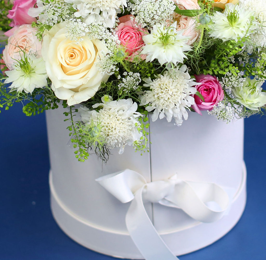 [,]  From a fairy tale snow white  ɹ