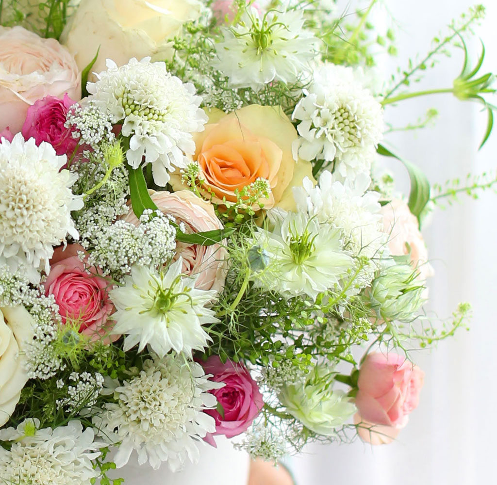 [,]  From a fairy tale snow white  ɹ