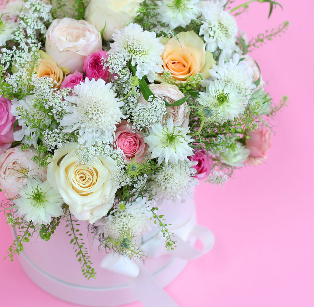 [,]  From a fairy tale snow white  ɹ