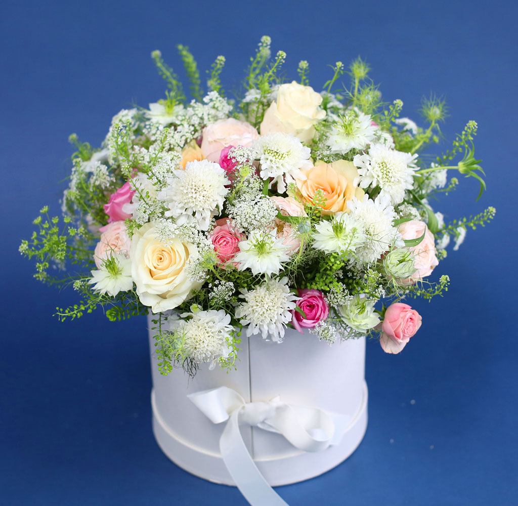 [,]  From a fairy tale snow white  ɹ