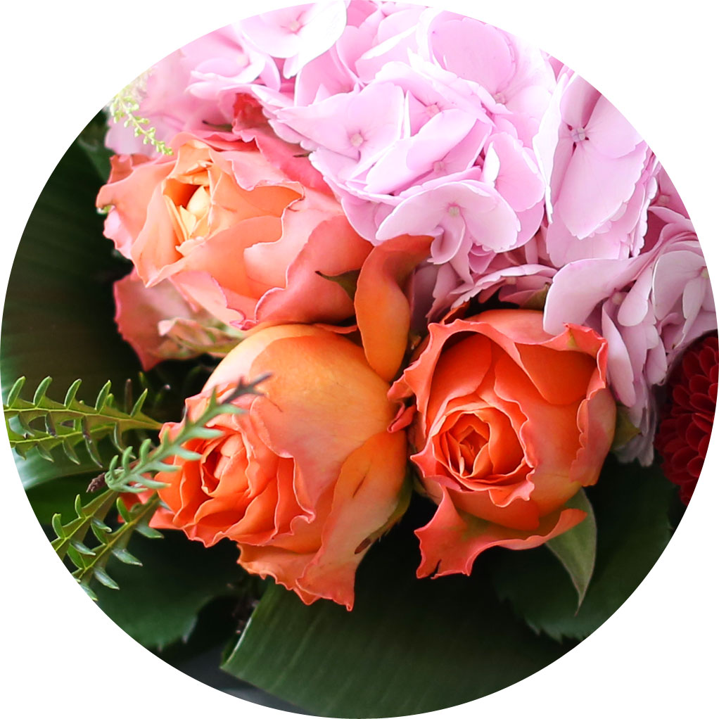 [/ǹ] Yes it is Amazing moment