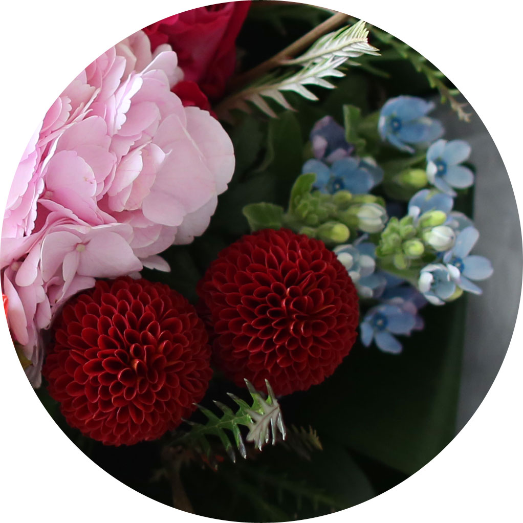 [/ǹ] Yes it is Amazing moment