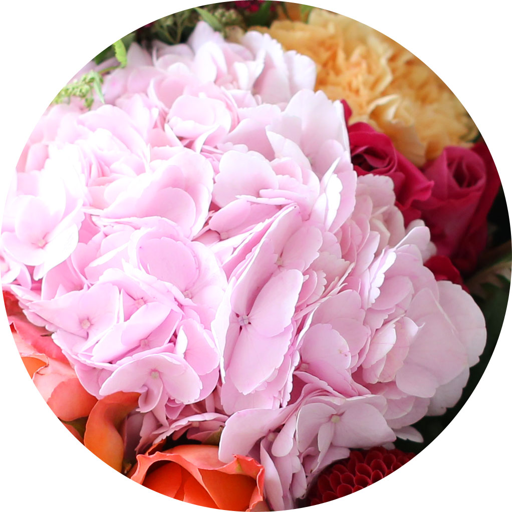 [/ǹ] Yes it is Amazing moment