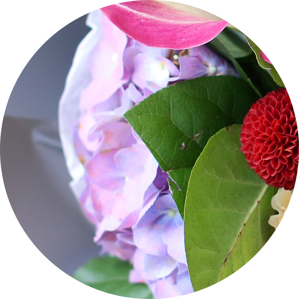 []Yes it is - Cherry blossom girl