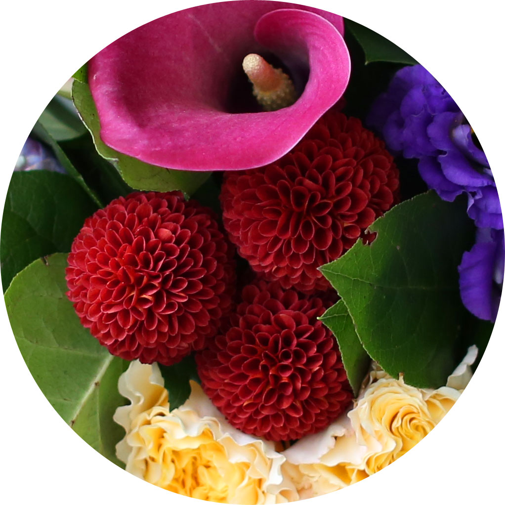 []Yes it is - Cherry blossom girl