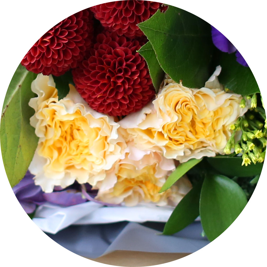 []Yes it is - Cherry blossom girl