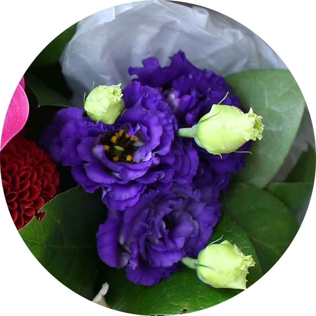 []Yes it is - Cherry blossom girl