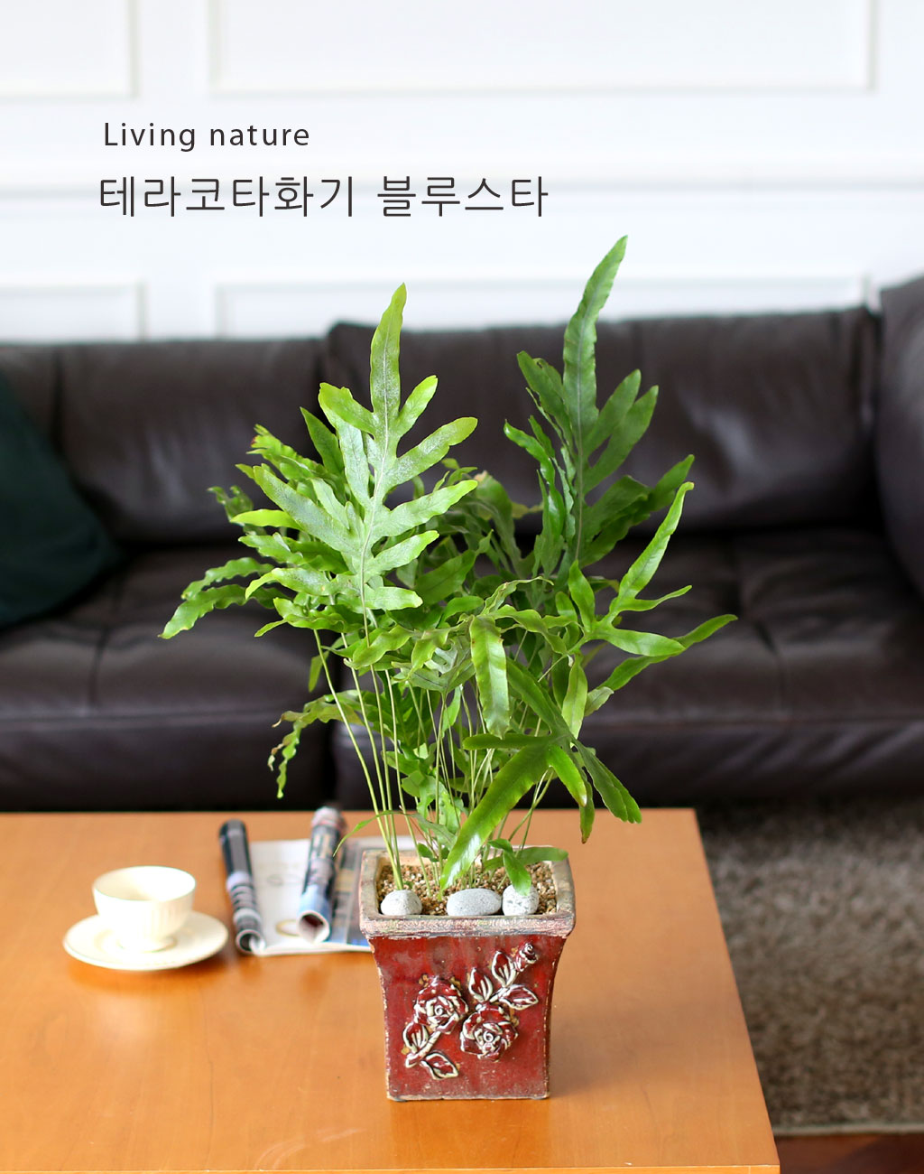 [, , Ⱦ, õ] Living nature - 罺Ÿ  ɹ