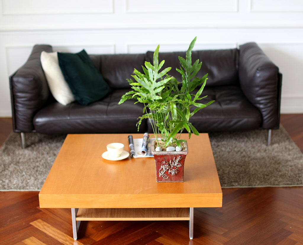 [, , Ⱦ, õ] Living nature - 罺Ÿ  ɹ