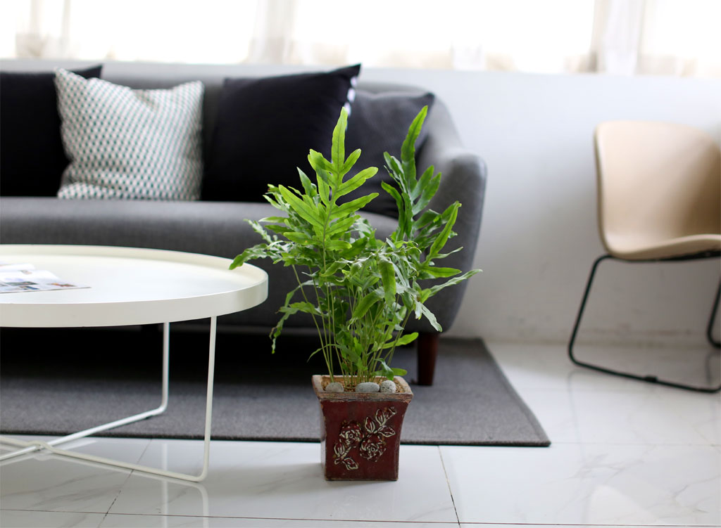 [, , Ⱦ, õ] Living nature - 罺Ÿ  ɹ