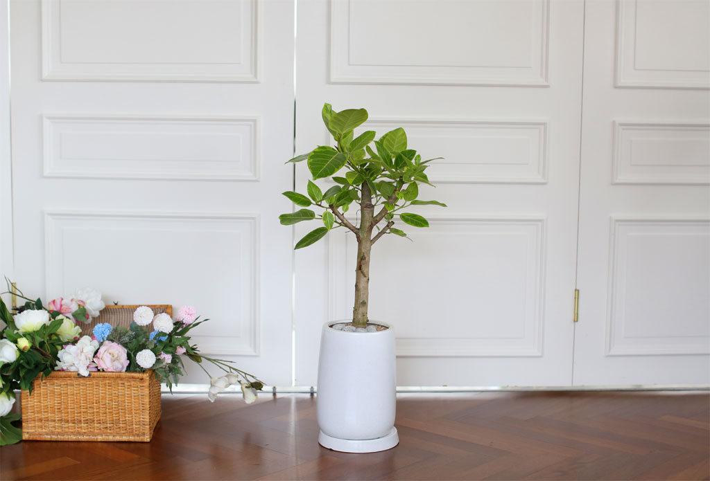 Living nature - 𰥰  ɹ