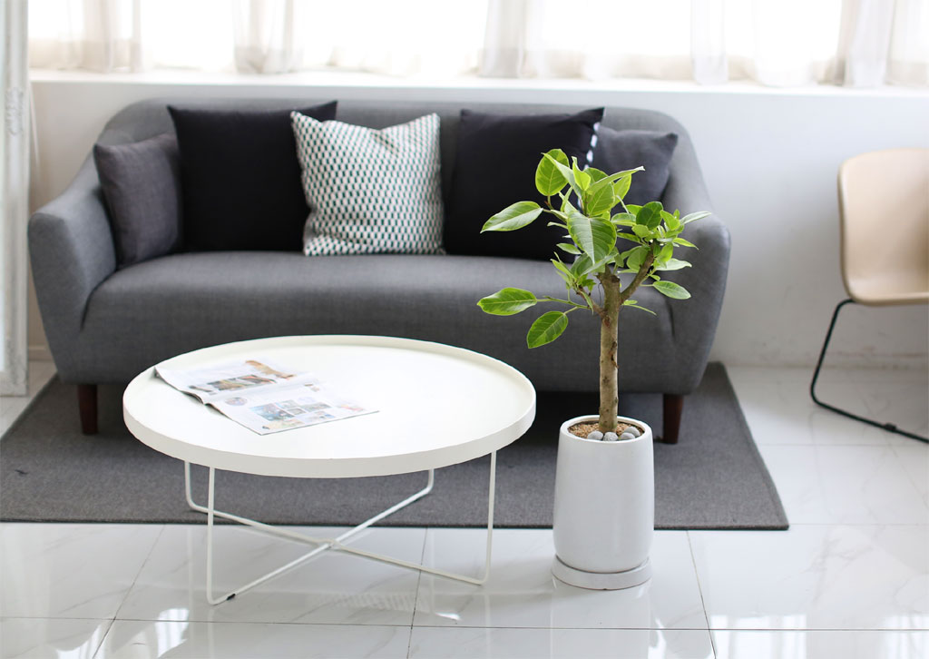 Living nature - 𰥰  ɹ