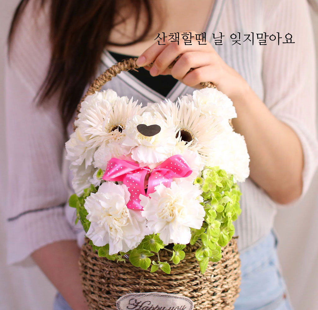 꽃배달 - 플라워119꽃배달서비스 꽃바구니/스페셜/웃으면 복이와요 - 우리집 강아지 재롱이 웃으면 복이와요 - 우리집 강아지 재롱이 플라워119