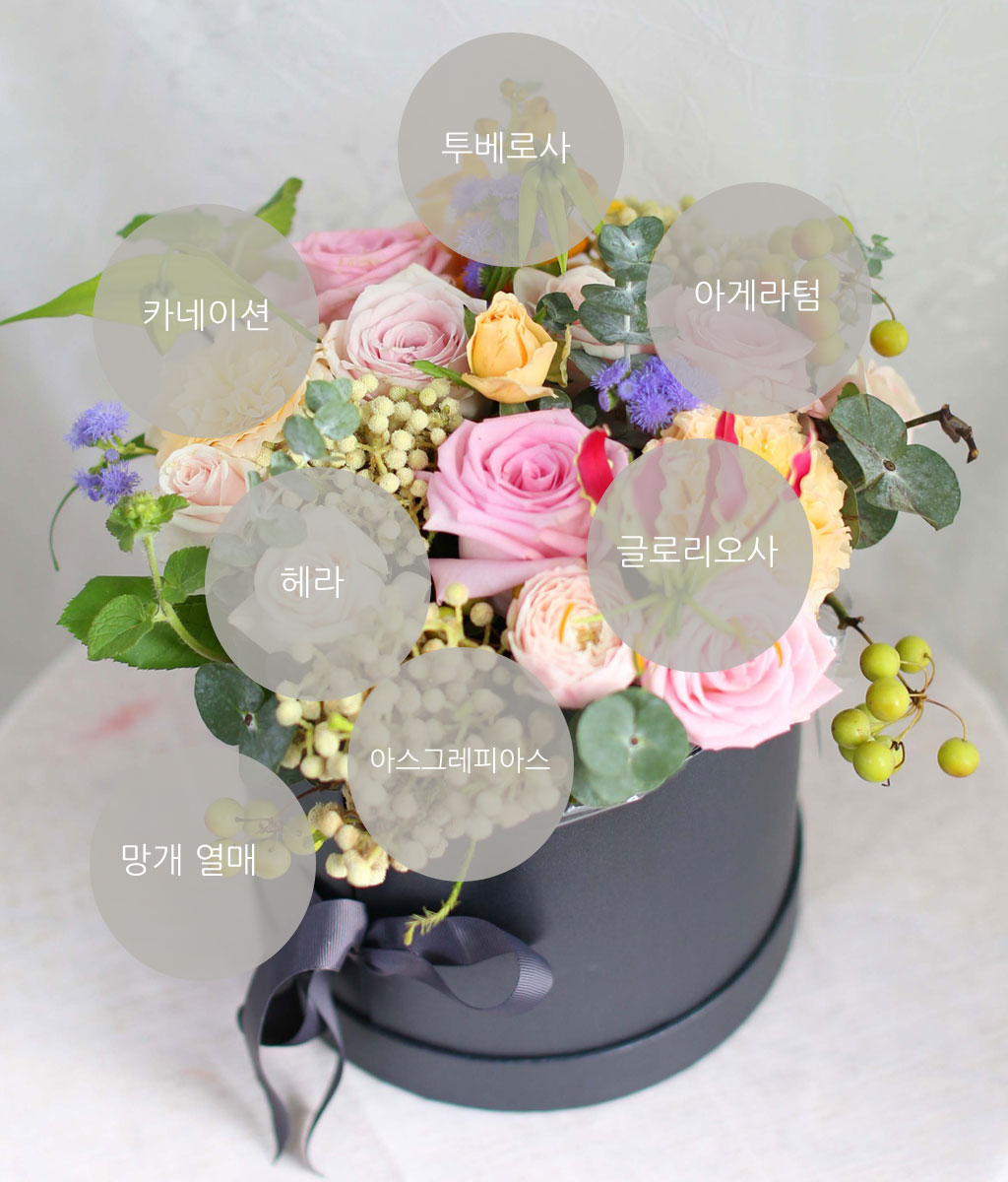 Fall in love - ¿©¸§³¡ °¡À»·Î °¡´Â ½Ã°£ ²ÉÁý ²É¹è´Þ