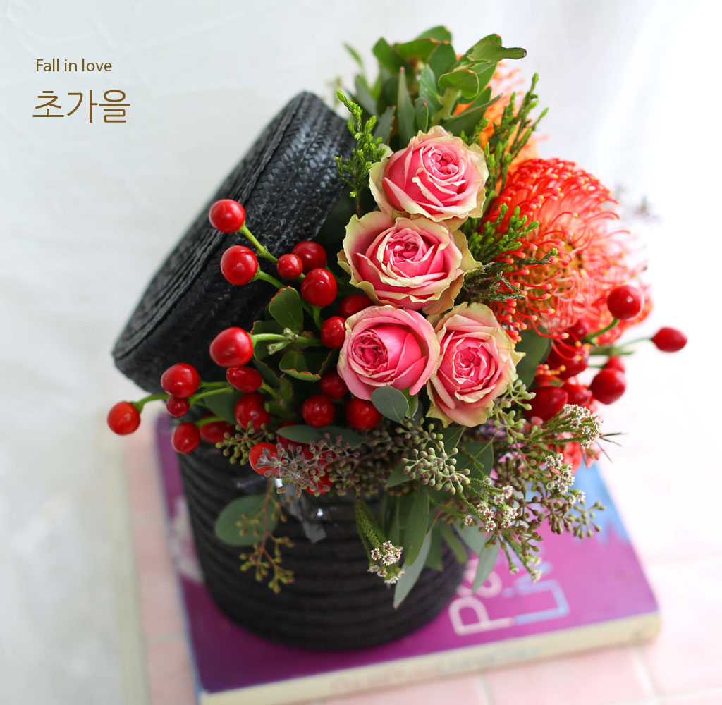 [,]Fall in love -     ɹ