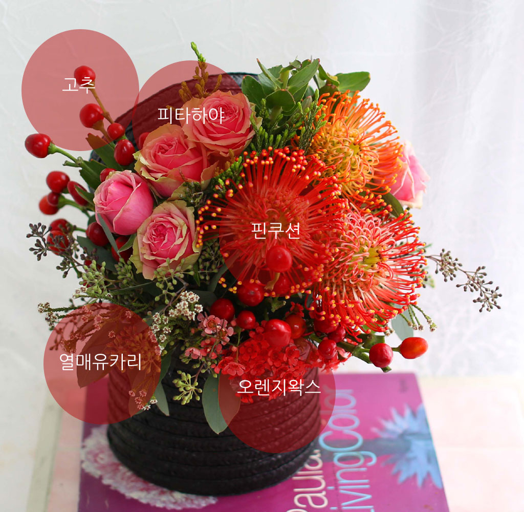 [,]Fall in love -     ɹ