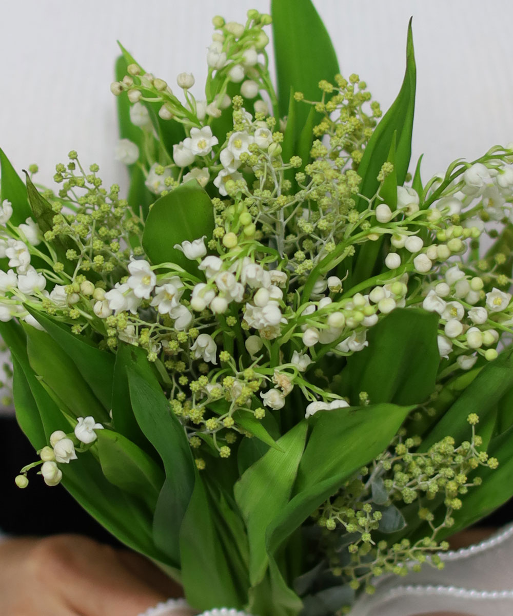 Wedding bouquet -     ɹ