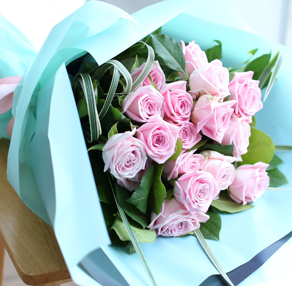    -̲ɴٹ Roses are pink  ɹ