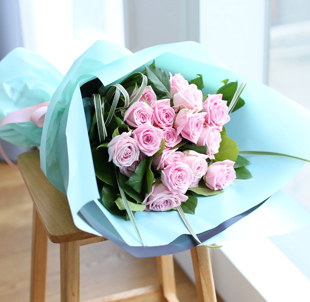    -̲ɴٹ Roses are pink  ɹ