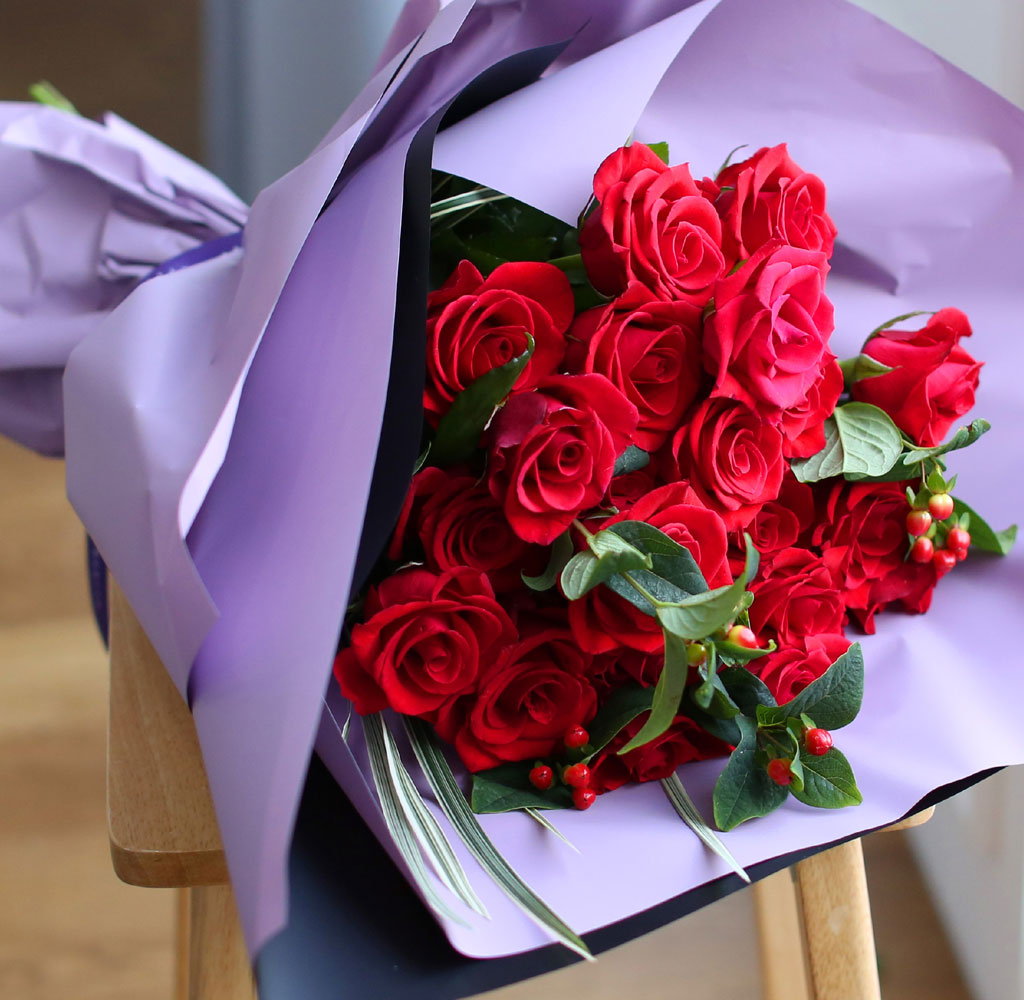    -̲ɴٹ Roses are red  ɹ