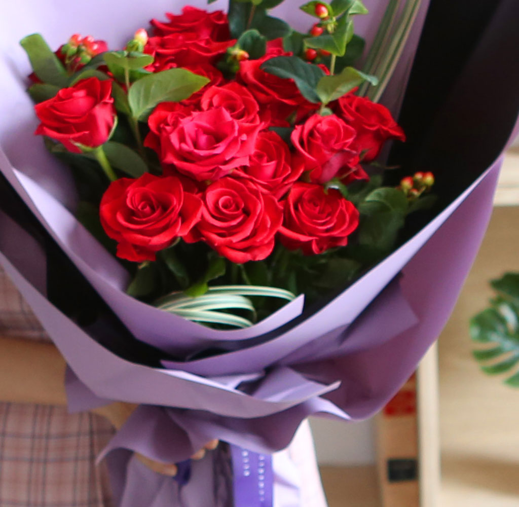    -̲ɴٹ Roses are red  ɹ