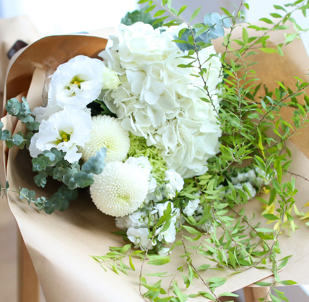 ٹ  αⰡ  - ʹ  ȭƮ  ɹ