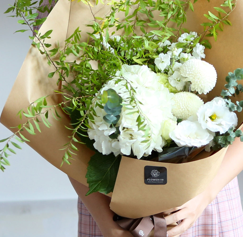 ٹ  αⰡ  - ʹ  ȭƮ  ɹ