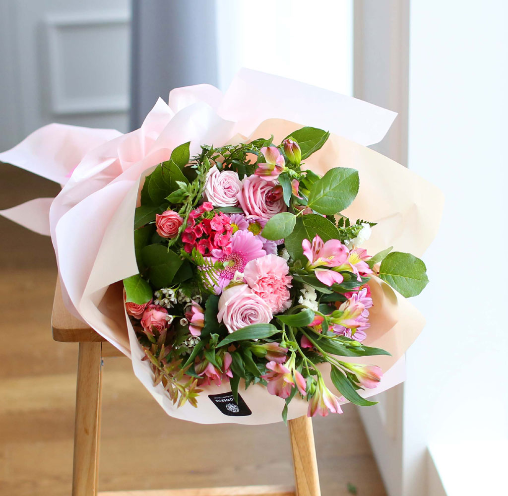    -  ؿ congratulations  ɹ