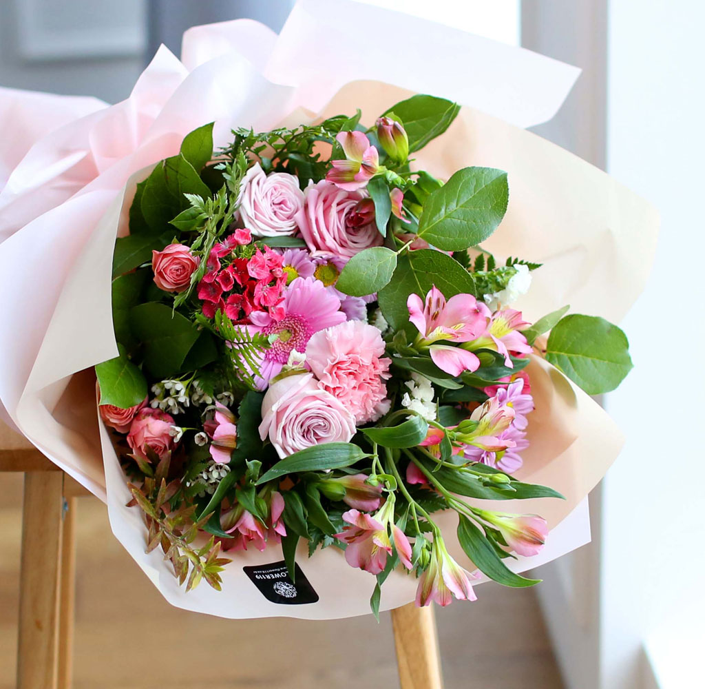    -  ؿ congratulations  ɹ