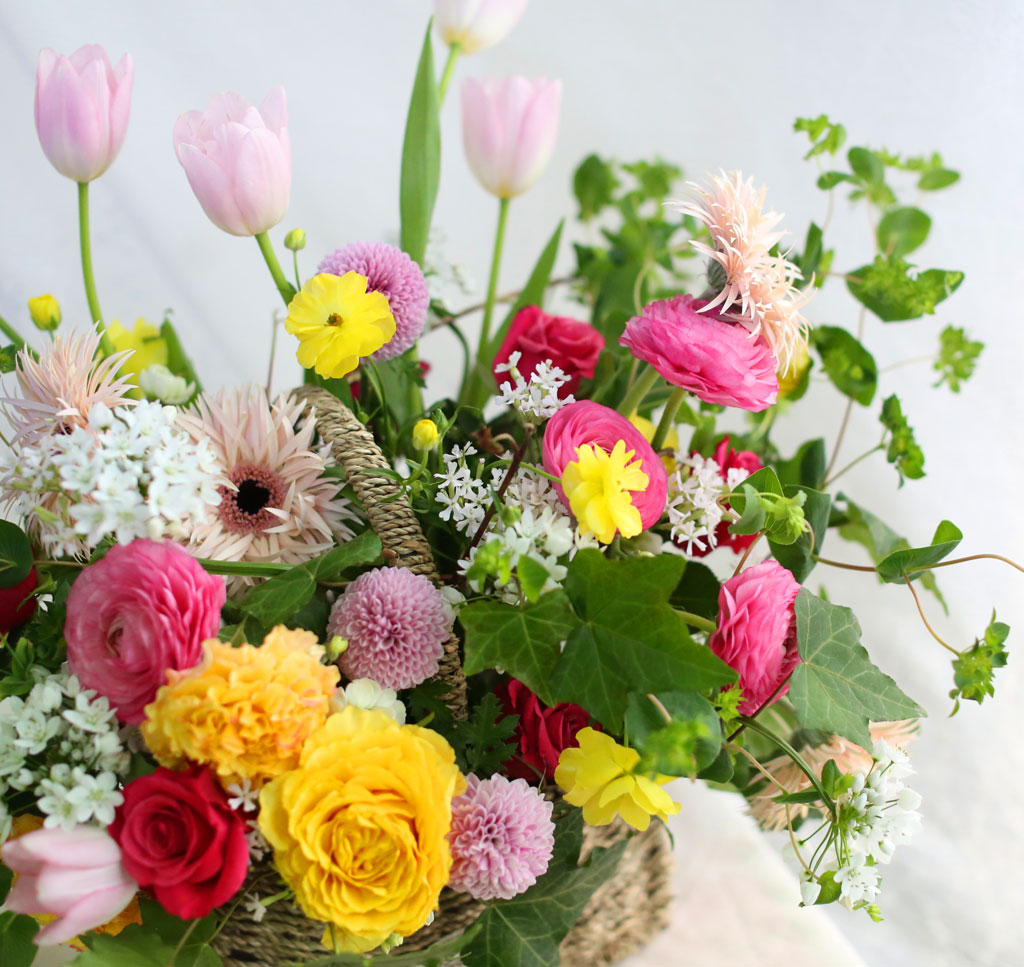 [ ǹ]Spring & sweet    ɹ