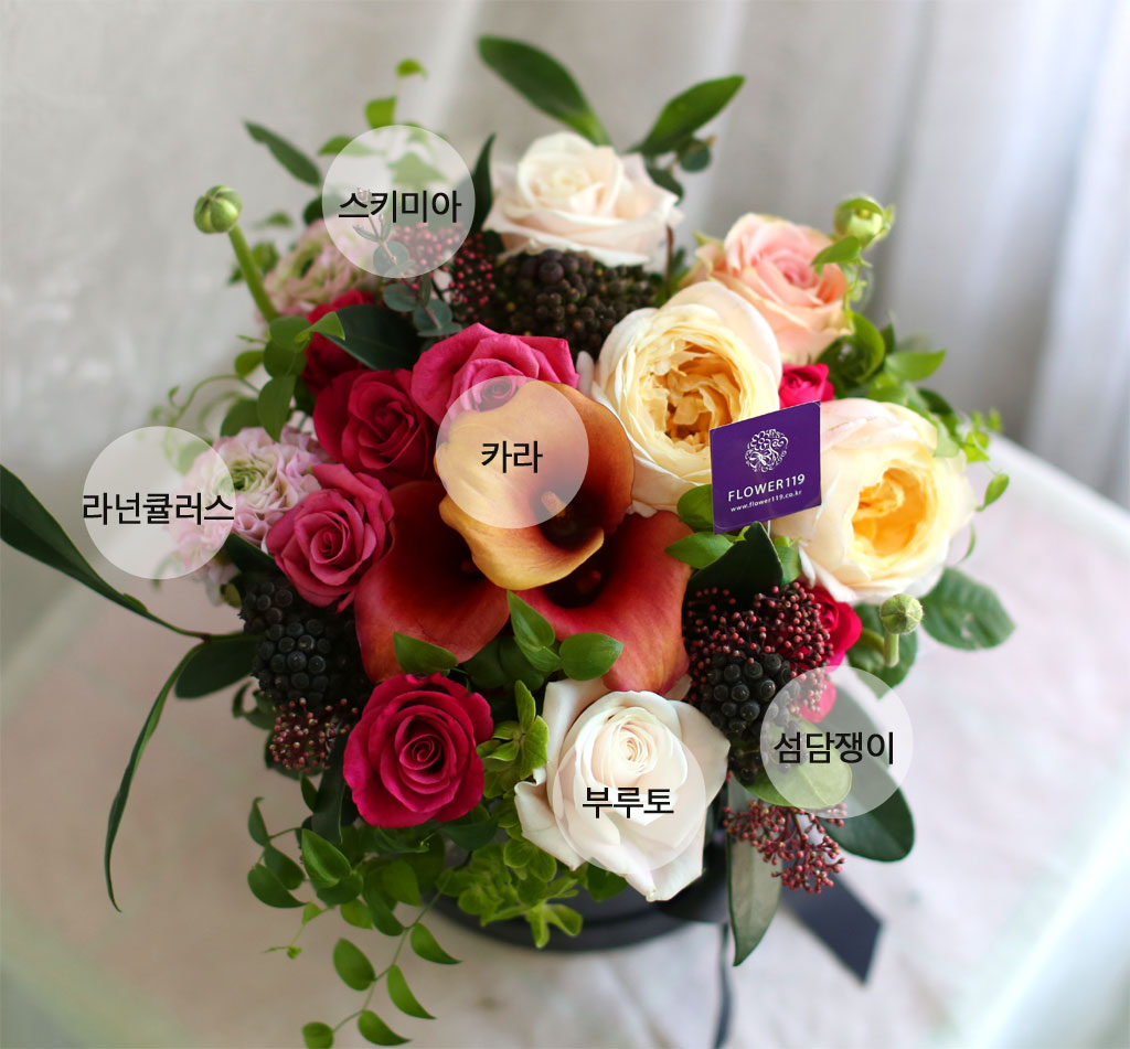 {¼¿ï,¼öµµ±Ç}Yes it is - Cuz I love you