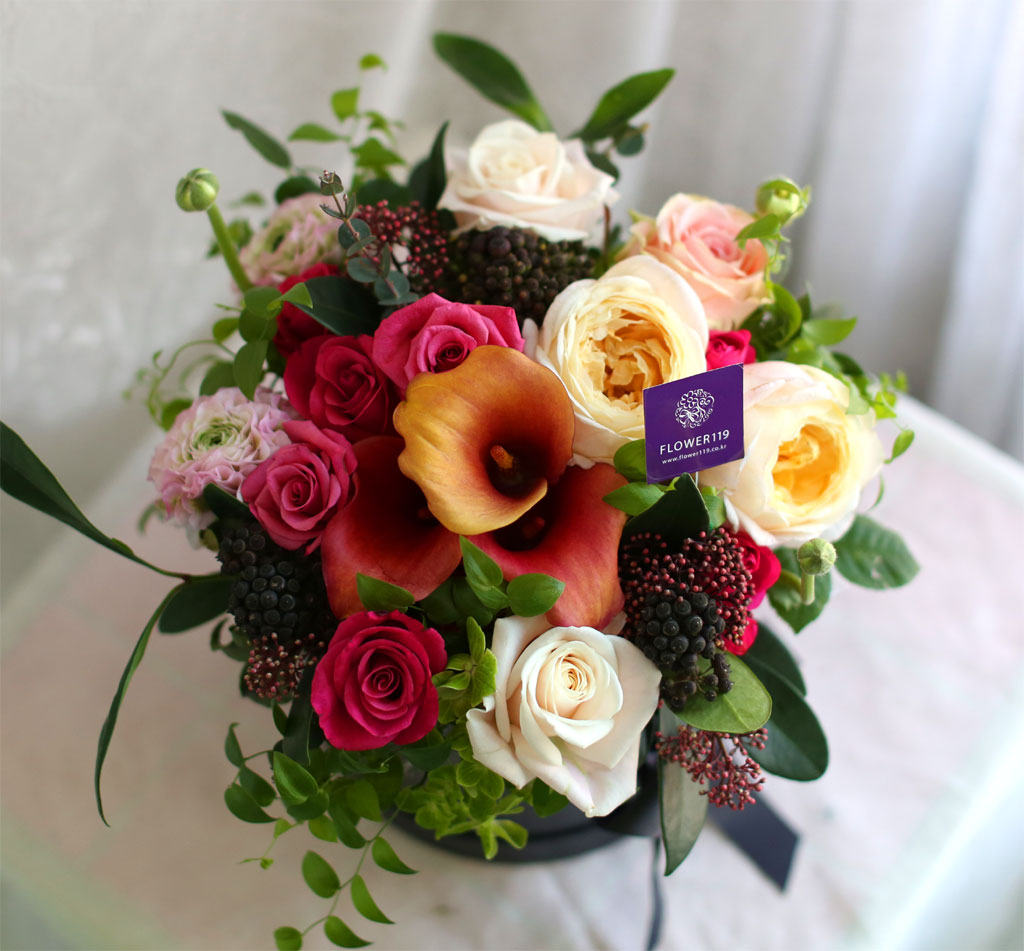 {¼¿ï,¼öµµ±Ç}Yes it is - Cuz I love you